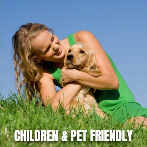 32 oz. Fix and Feed Universal Lawn Food, Ready-to-Spray - Hercitys