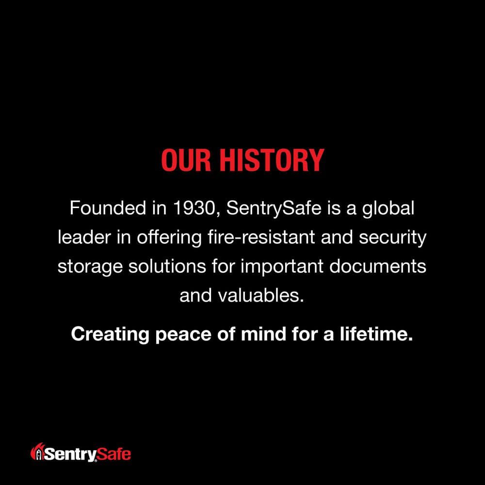 0.17 cu. ft. Money Safe Cash Box - Hercitys