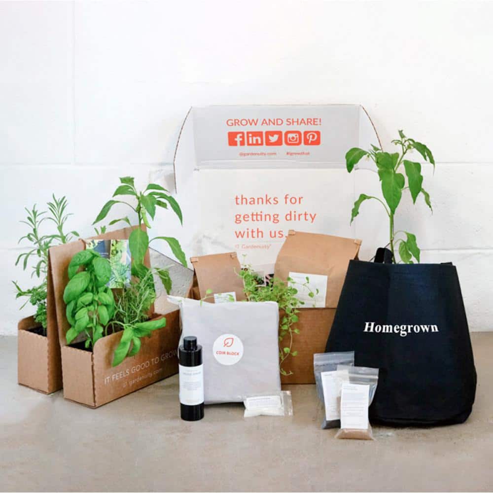5 Gal. Portable Outdoor Homegrown Garden Grow Bag Kit with Vegetable and Herb Plants - Hercitys