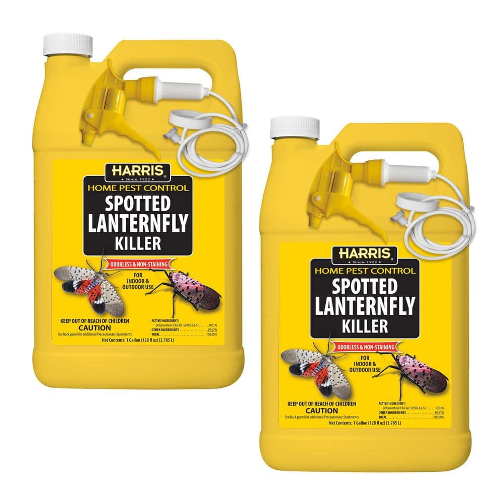1 Gal. Spotted Lanternfly Killer (2-Pack) - Hercitys