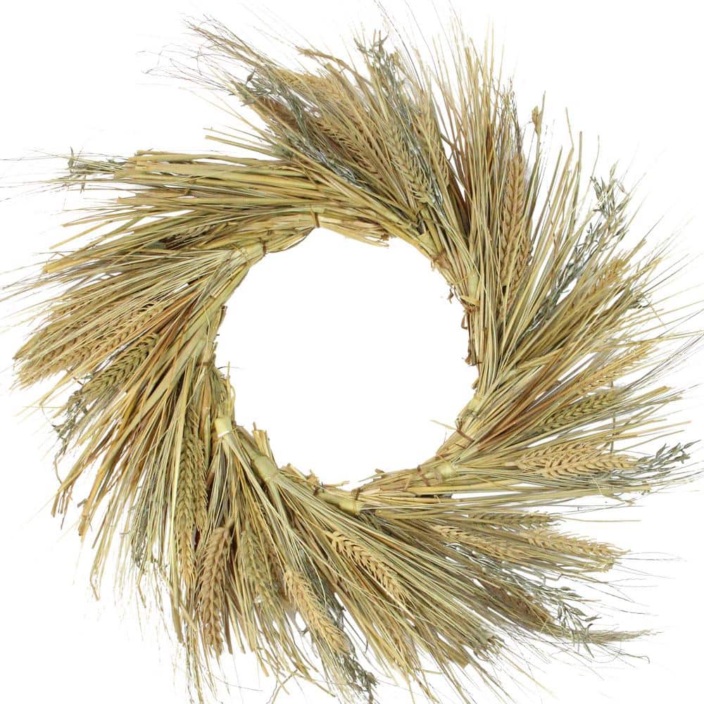 22 in. Artificial Unlit Autumn Harvest Wheat Grass and Grapevine Thanksgiving Fall Wreath - Hercitys