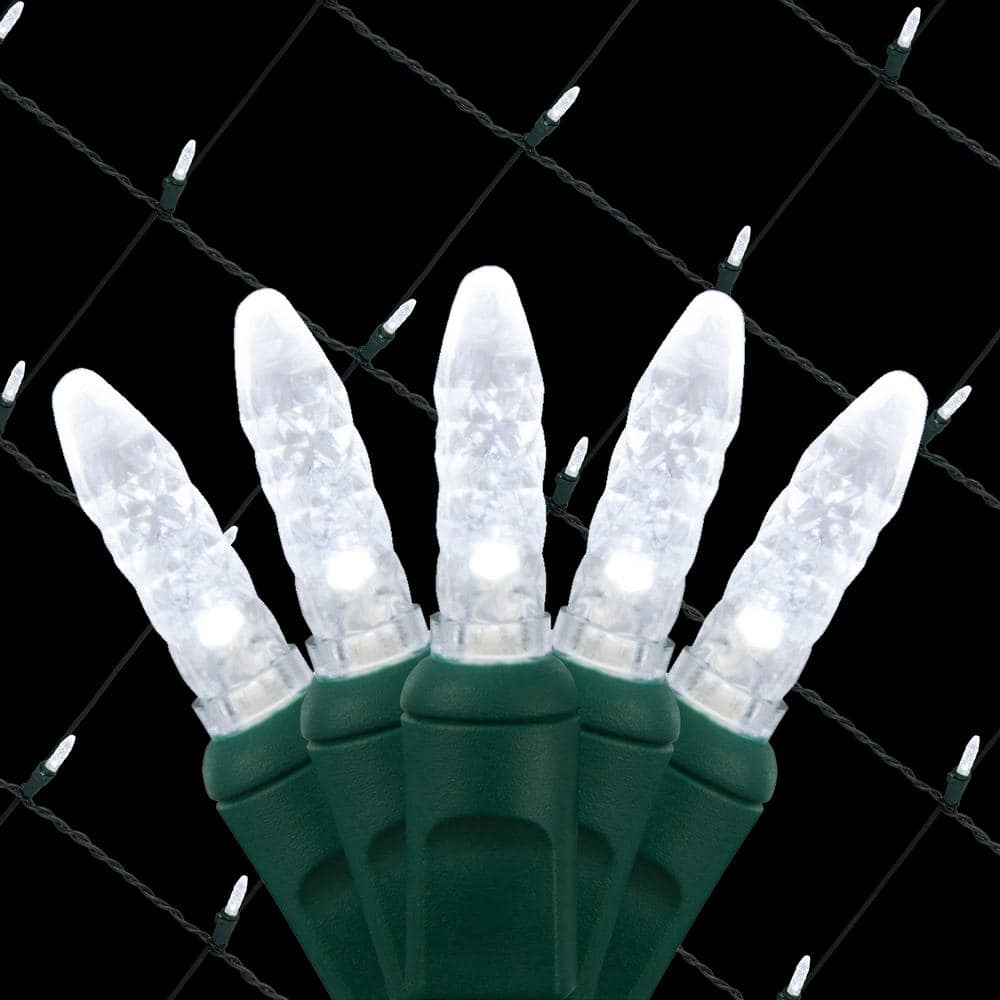 48 in. x 72 in. 100-Light M5 LED Cool White Net Light Set - Hercitys