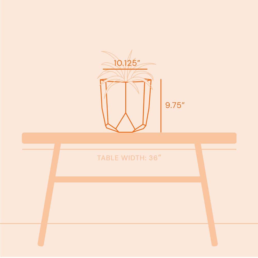 10 in. Tuxton Resin Black Planter - Hercitys