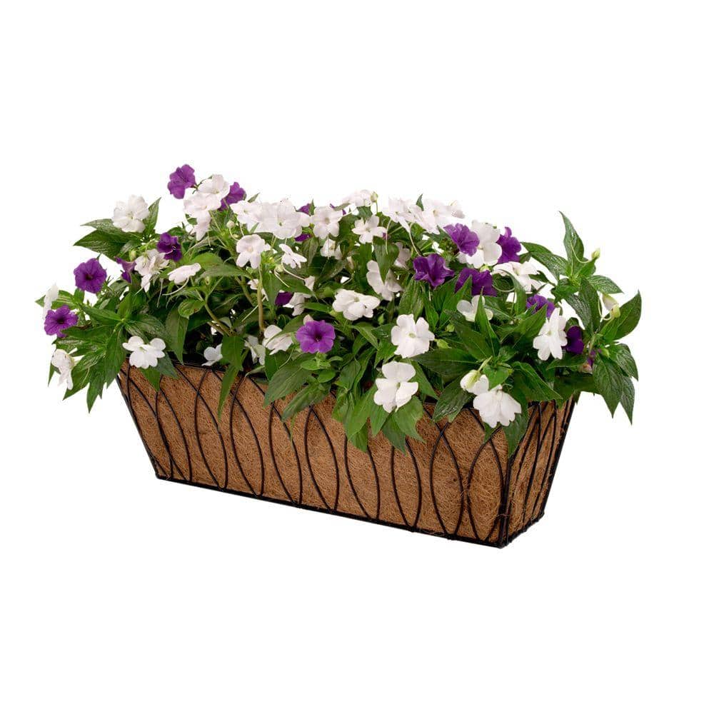24 in. Devon Window/Deck Planter with AquaSav Coconut Liner Plastic - Hercitys