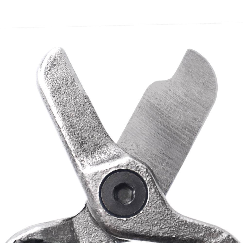 5.5 in. L Forged Stainless Steel Lemon Citrus Clipper Fruit Shears with Strap - Hercitys