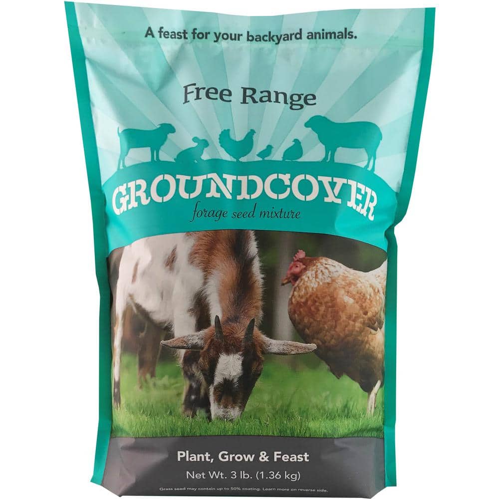 3 lbs. Free Range Groundcover Forage Seed Mixture - Hercitys