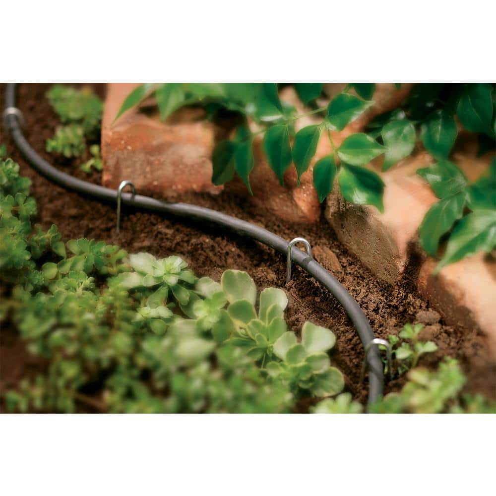 1/4 in. x 100 ft. Distribution Tubing - Hercitys