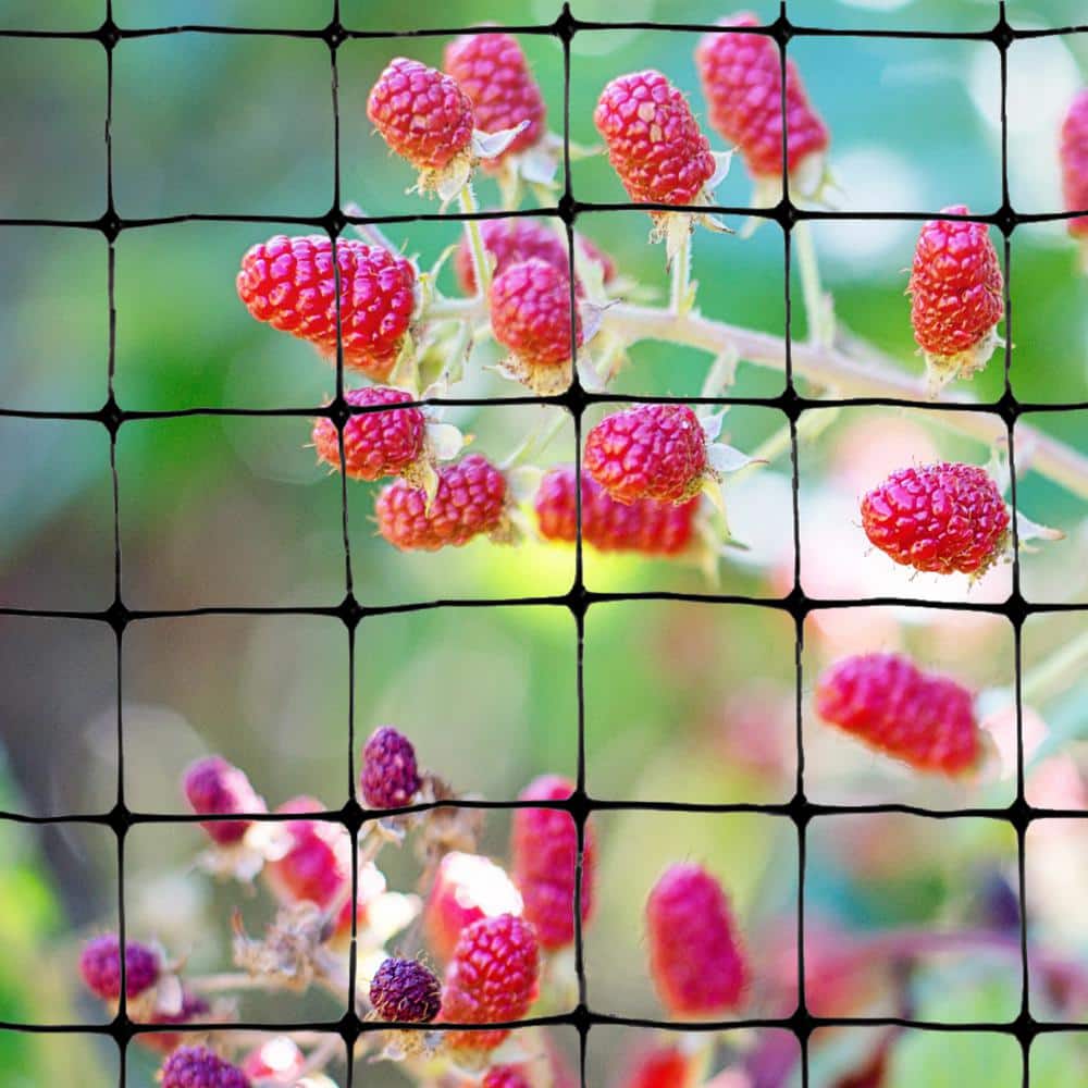 100 ft. x 14 ft. Structural Bird Netting - Hercitys